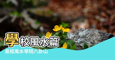 學校風水|二七同道配卦象，學校生源旺旺旺！道先生講風水案例。《圖+文。